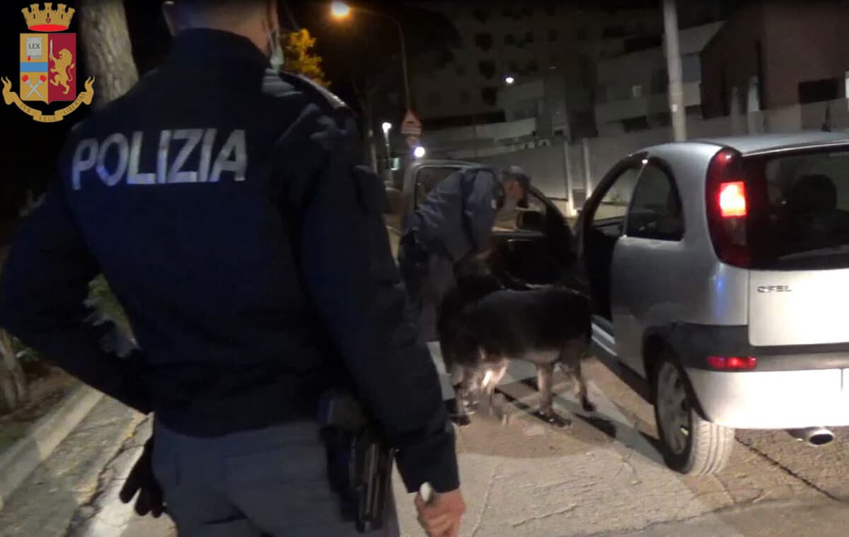 Cocaina pronta per lo spaccio, blitz all’alba: arrestati un uomo e una donna
