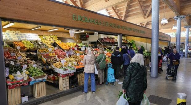  L'ascesa del "boss" bengalese di San Michele: banchi al mercato e terreni in affitto per coltivare la verdura 