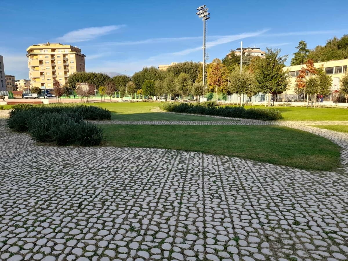 Frosinone, al Parco Matusa nasce una microforesta