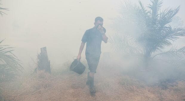  El Niño, aumentano le malattie respiratorie: cosa sta succedendo e rischi per l'Europa 