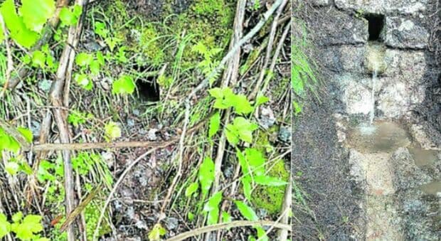  La sorgente dell'imperatore esiste veramente, la scoperta dopo anni di miti e storie di paese: «Finalmente l'abbiamo trovata» 