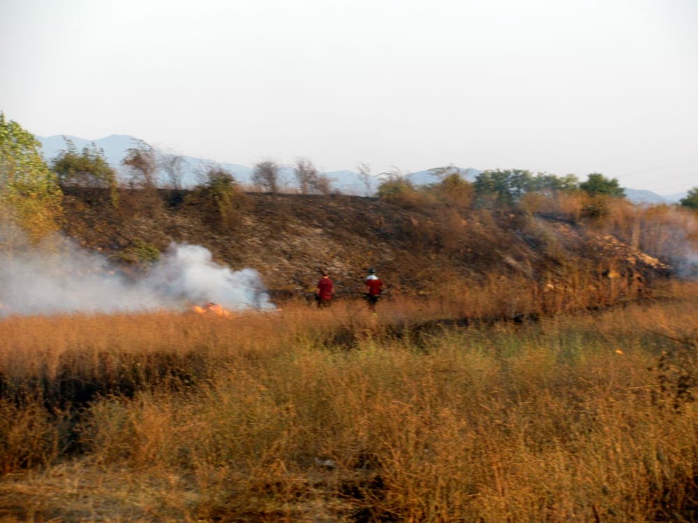 Lazio, 569 incendi in un mese e mezzo: weekend da record con +20%