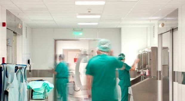  Virus Shamonda, primo caso in Francia: morto un paziente. Cos'è, i sintomi e come si trasmette 