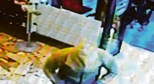  Roma, occhi elettronici come deterrenti contro furti, spaccio e aggressioni 