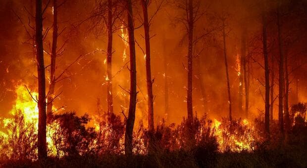  Una nuvola di fuoco nei cieli della Spagna e della Francia: cos'è un pirocumulonembo e perché ora gli incendi sono incontrollabili 