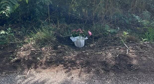  Daniela Casoli, morta travolta da un'auto a Marano Equo la farmacista del paese: aveva 76 anni 
