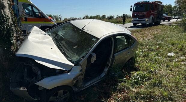  Auto contro platano in provincia di Udine: muore bambina di 11 anni, gravissima la sorella di 4 