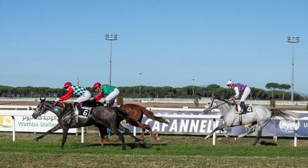  Ippodromo Capannelle, si torna a correre: a settembre la prima gara dopo oltre un anno di stop 