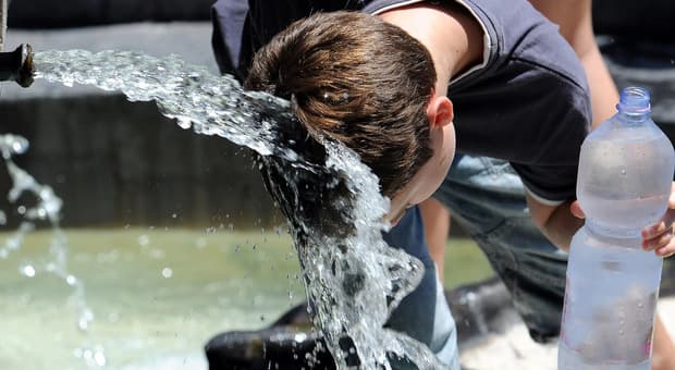 «Bastano 20 minuti in auto per morire», allerta colpo di calore nei bambini. Sintomi e consigli dei pediatri 