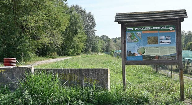  Torino, abusi su 12enne nel parco: il giovane fermato ha confessato. «Ero sotto effetto di droghe» 