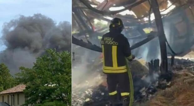  Treviso, 6 cavalli morti tra le fiamme dopo un incendio all'ippodromo Sant'Artemio. Ignote le cause 