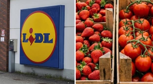  Lidl, fragole e pomodori con paesi d'origine errati: per la società dei supermercati scatta la multa 