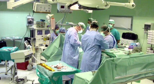  Caldo, l?afa colpisce le donne in gravidanza: «Quasi mille parti prematuri in più». I rischi 