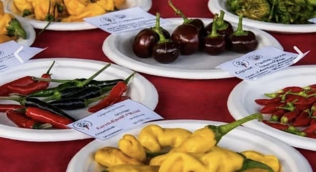  HOTtobre Piccante, Roma si prepara a due giornate all?insegna del peperoncino 