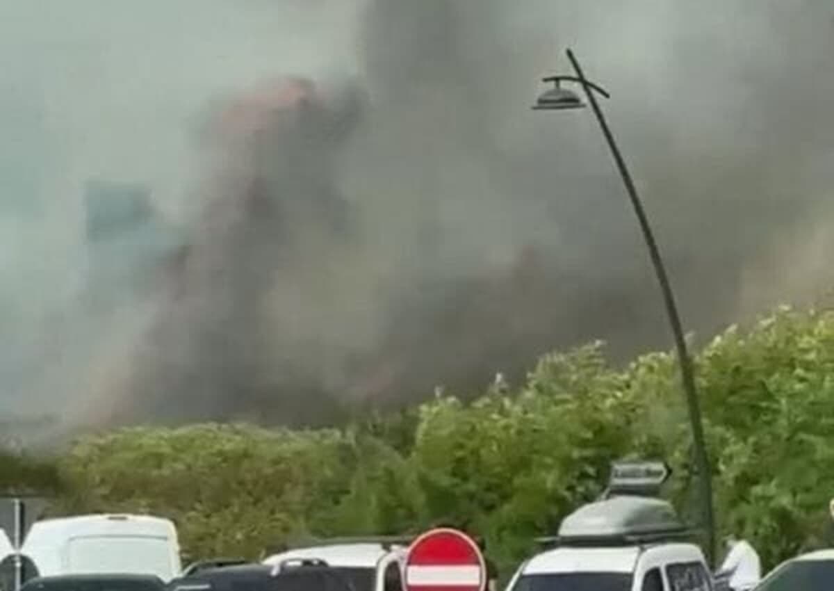 Incendi alla Selva di Paliano: l'allarme piromani, le accuse sull'abbandono e il nodo della prevenzione