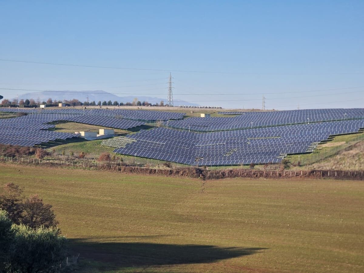 Paliano, agrivoltaico a ridosso della Selva: "Il progetto non è fermo"