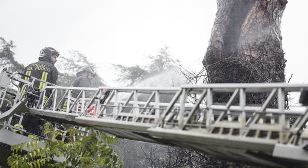  Tromba d'aria spacca le finestre a Sinalunga, donna muore dissanguata dopo che una scheggia le ha reciso una vena 