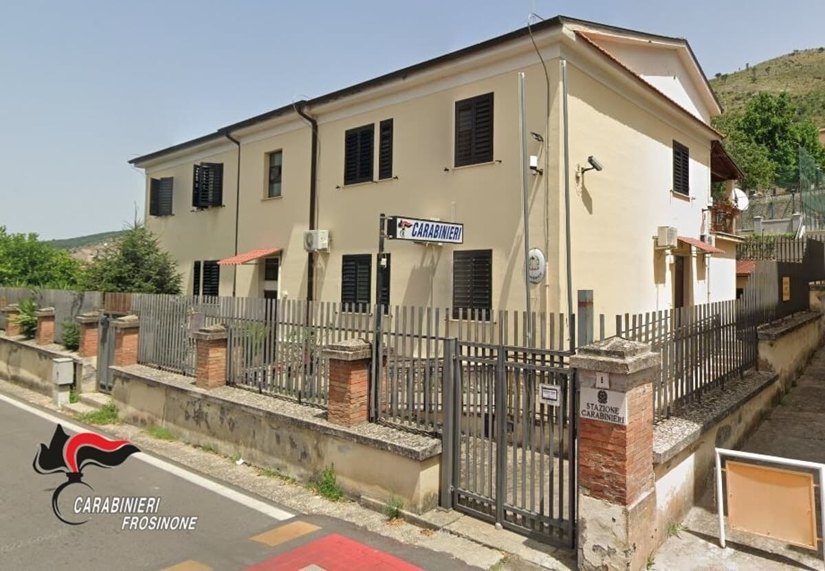 Roccasecca, animali denutriti e senza registrazione in un'azienda agricola. Sequestrati oltre 60 capi
