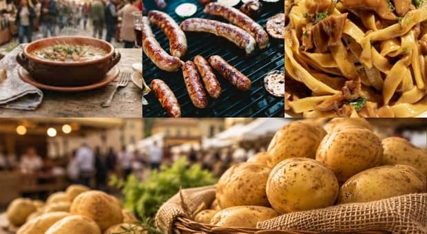  Le sagre e le feste nei dintorni di Roma nel weekend: dal tartufo alla patata, ecco gli appuntamenti 