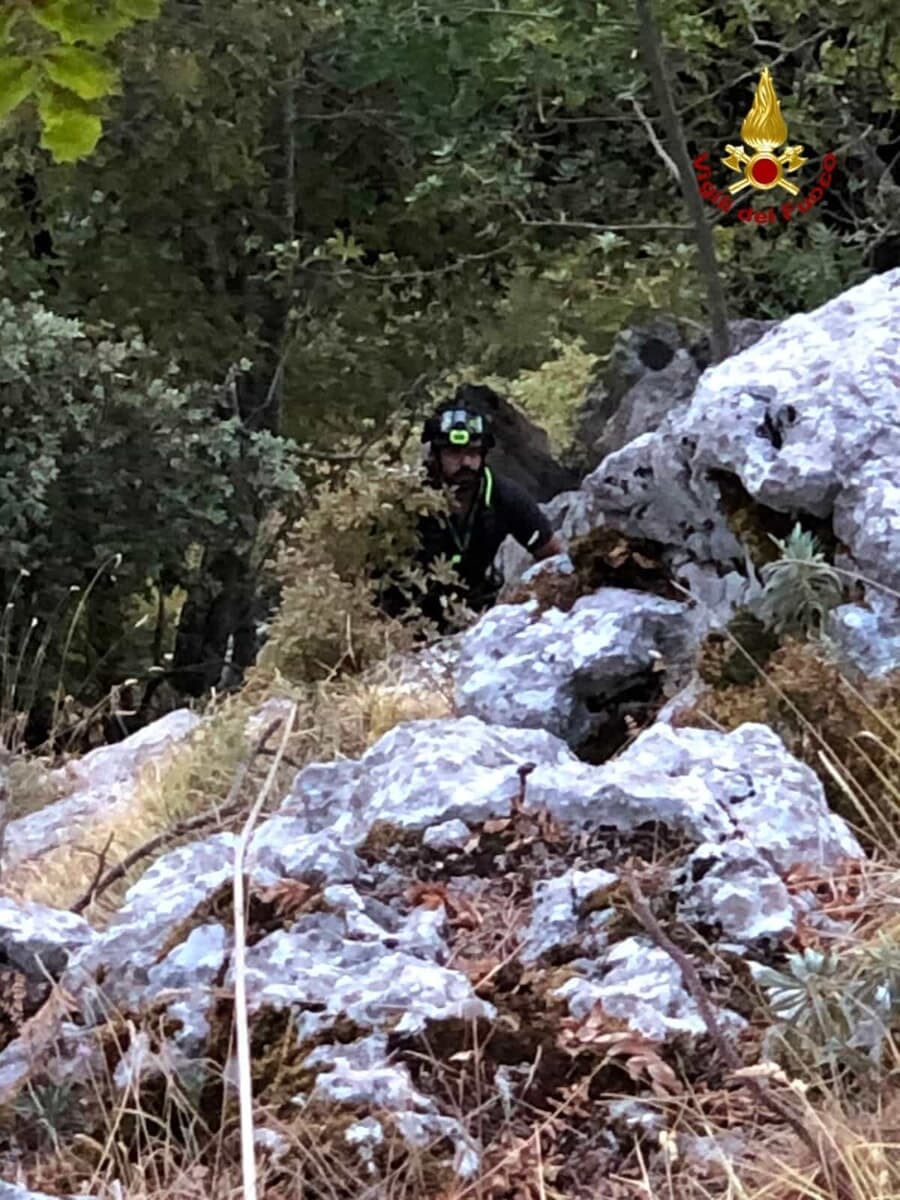 Il cane Rosa precipita in un dirupo profondo oltre 70 metri, salvato dai Vigili del Fuoco dopo quattro ore