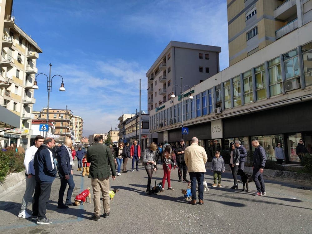 Frosinone, la Notte dei Bambini in via Aldo Moro: area pedonale attiva dalle 18 alle 24