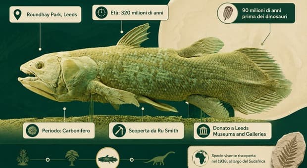  «Ho trovato in un parco un pesce preistorico rimasto sconosciuto per 320 milioni di anni, ecco come ho fatto» 