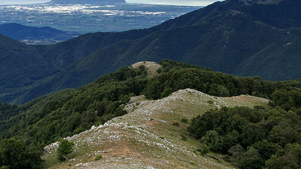 Rigenerare i territori, un confronto sulle prospettive di sviluppo delle aree rurali del Lazio meridionale