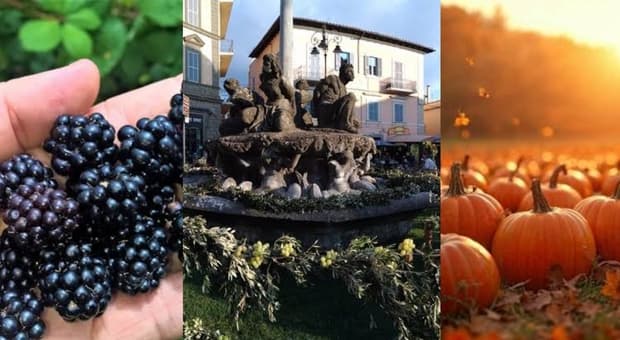  Uva, More, Zucche e Buttero: le sagre e le feste nei dintorni di Roma venerdì 25, sabato 26 e domenica 27 settembre 