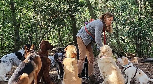  «Abbiamo creato una chat su WhatsApp e salvato cento cani dalla morte, teniamo sotto controllo Villa Ada» 