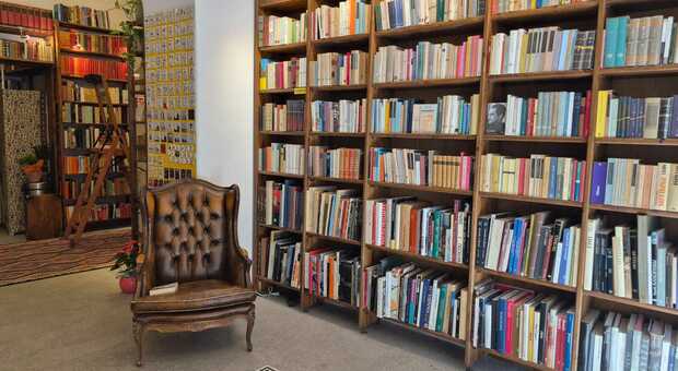  Apre a Roma la nuova libreria dell'usato Sottomarina. «Diamo ai libri una seconda vita, vendiamo anche in Cina» 