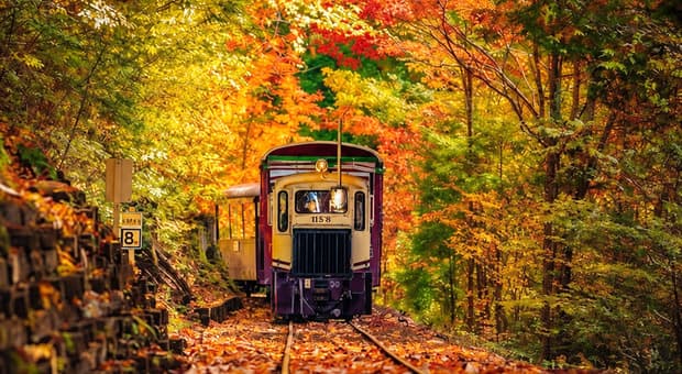  Foliage in Italia, 10 luoghi da vedere e tre treni per godersi l?autunno: da Braies alla Ferrovia dei Parchi 