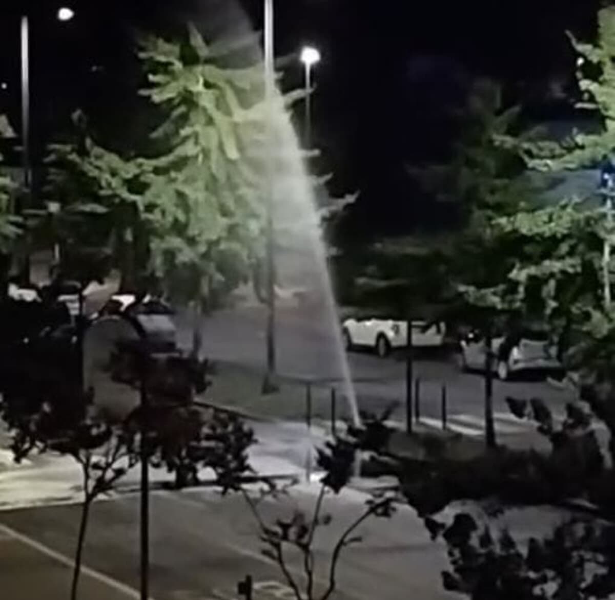 Colleferro, irrigatori vandalizzati in più occasioni in viale XXV Aprile (Video)
