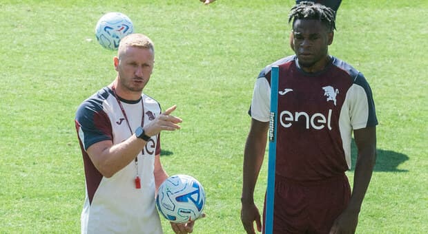  Torino-Alcione, dove vederla (in chiaro o Dazn): orario e probabili formazioni del test amichevole 