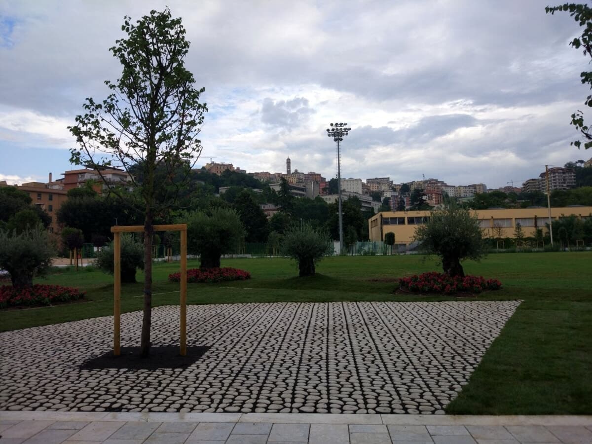 Frosinone, il welfare esce dagli uffici e incontra i cittadini. Al Parco Matusa il primo Open Day dei servizi sociali