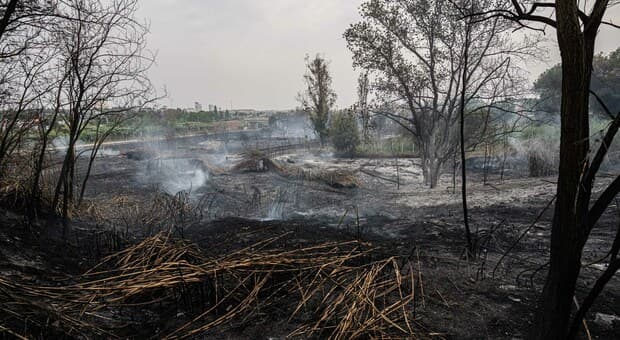  Roma, vasto incendio nel Parco dell'Aniene a ridosso dell'antico Ponte Nomentano 
