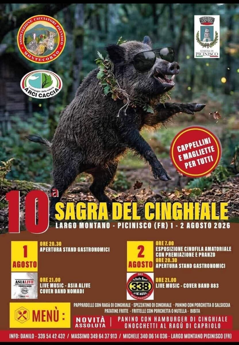 Picinisco, sagra del cinghiale