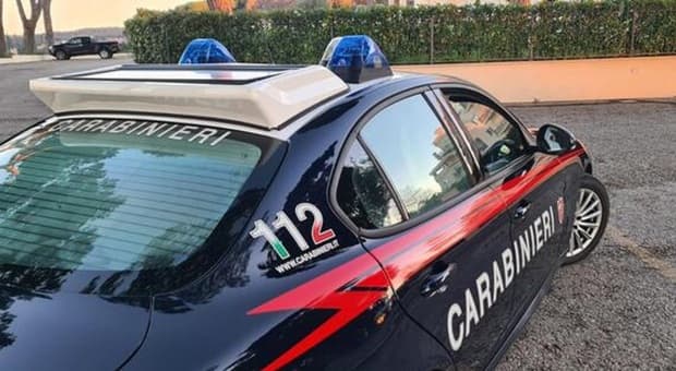  Intrappolato da due cani da guardia dopo un tentato furto, chiama i soccorsi: rintracciato (e denunciato) 