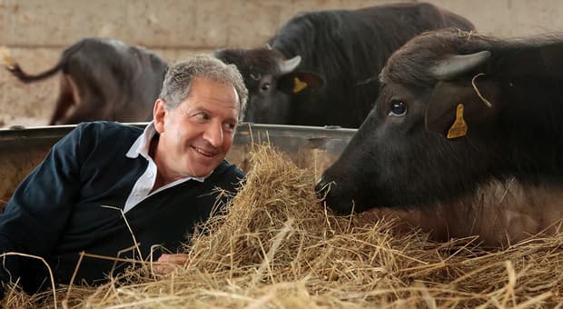  Jody Scheckter, ex campione di F1 dovrà pagare una multa di 1,5 milioni per colpa dei bufali d'acqua 