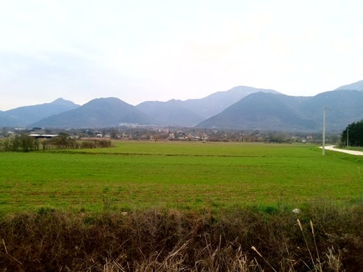 Paliano, l'impianto agrivoltaico di Colle Rampo va avanti, convocata la Conferenza dei Servizi