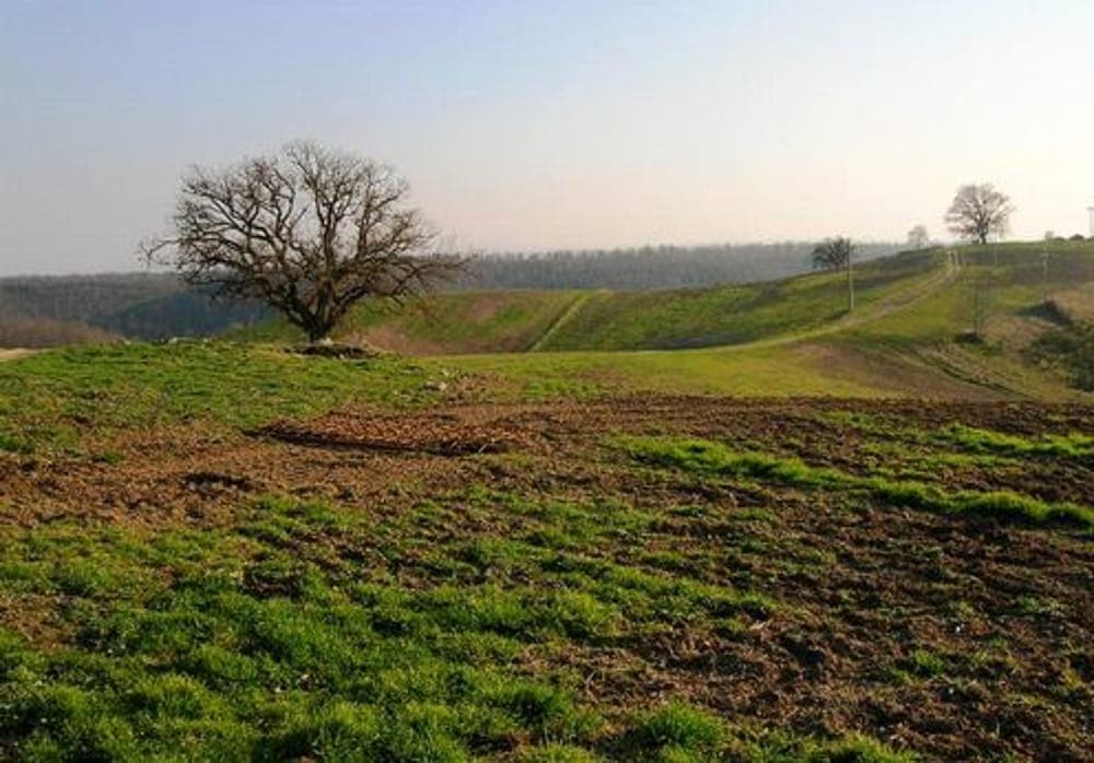 Valmontone, via libera della Regione al mutamento d'uso di terreni civici per il progetto BESS