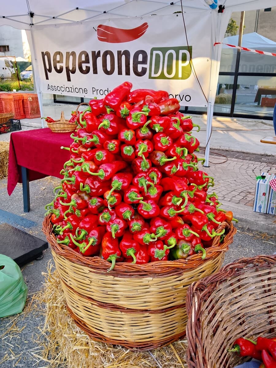 Pontecorvo, record di presenze alla festa del Peperone DOP
