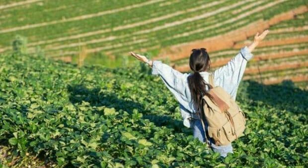  «Ho lasciato il lavoro per viaggiare. Ora con mia moglie gestisco una fattoria in Corea. Il mio consiglio? Non fatelo» 