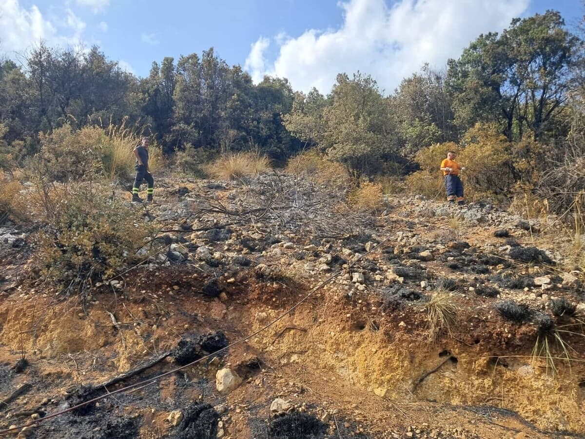 Fiamme tra Colfelice e Roccasecca, incendio domato dopo ore di intervento