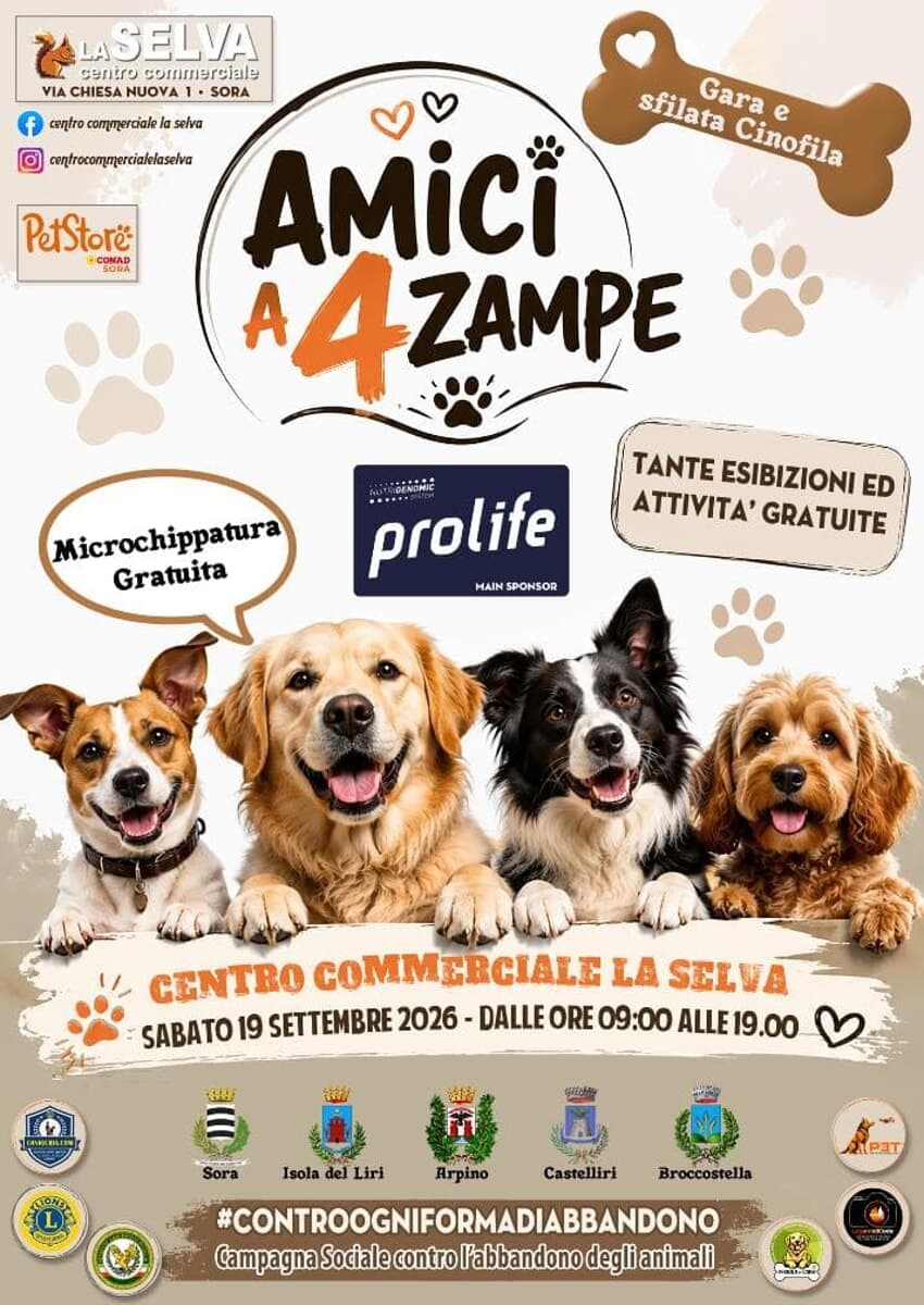 Sora, “Amici a 4 Zampe”