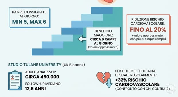  Salire 5 rampe di scale al giorno fa bene al cuore e aiuta a vivere più a lungo: lo studio 
