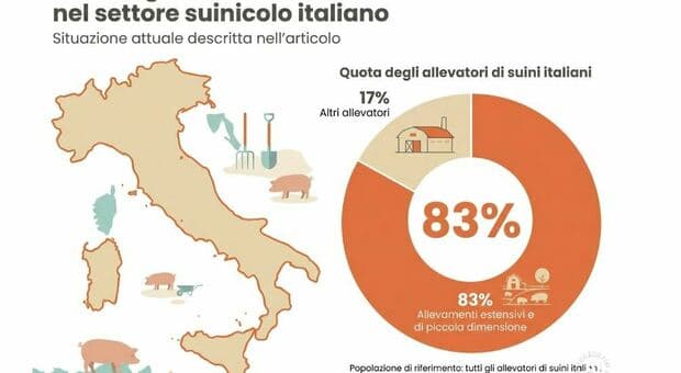  Virus Peste suina, è allarme in Italia: abbattuti il 10% degli esemplari di Cinta senese. La mappa dei casi 