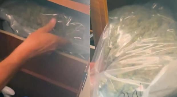  Roma, camper imbottiti di droga: smantellata a Nettuno la rete dei pusher. Gli stupefacenti provenivano dalla Spagna 