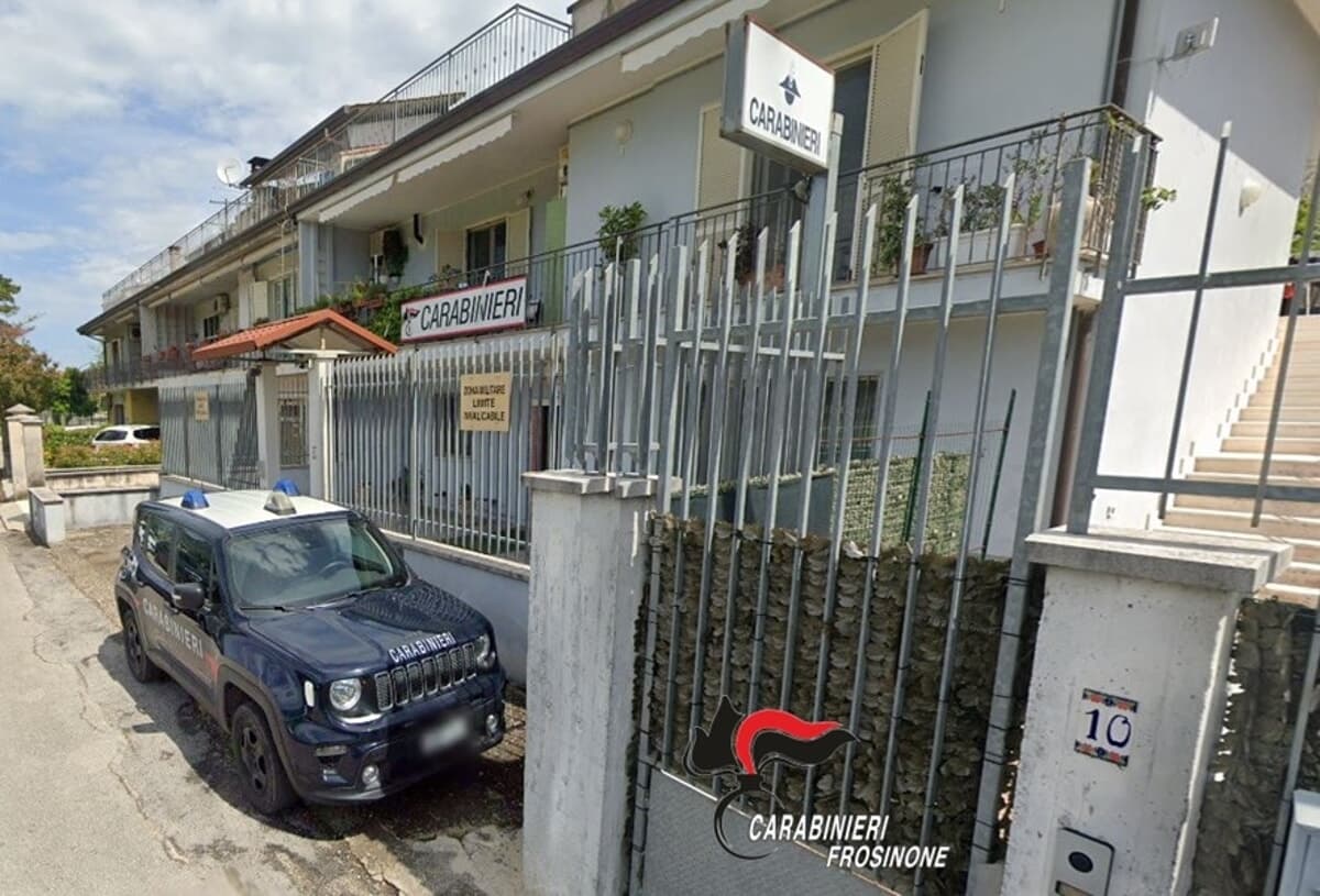 Otto bovini abbattuti a colpi di fucile e minacce all’allevatore: paura ad Amaseno