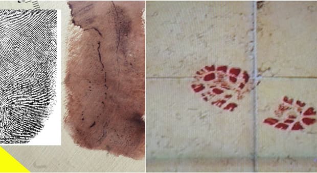  «Garlasco, l'impronta 33 è di Sempio. Chi ha toccato il muro aveva le mani imbrattate di sangue». Cosa dicono le nuove prove 