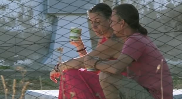  Famiglia nel bosco, primo giorno di scuola per i bambini. «Ai genitori vietato avvicinarsi, all'entrata e all'uscita» 